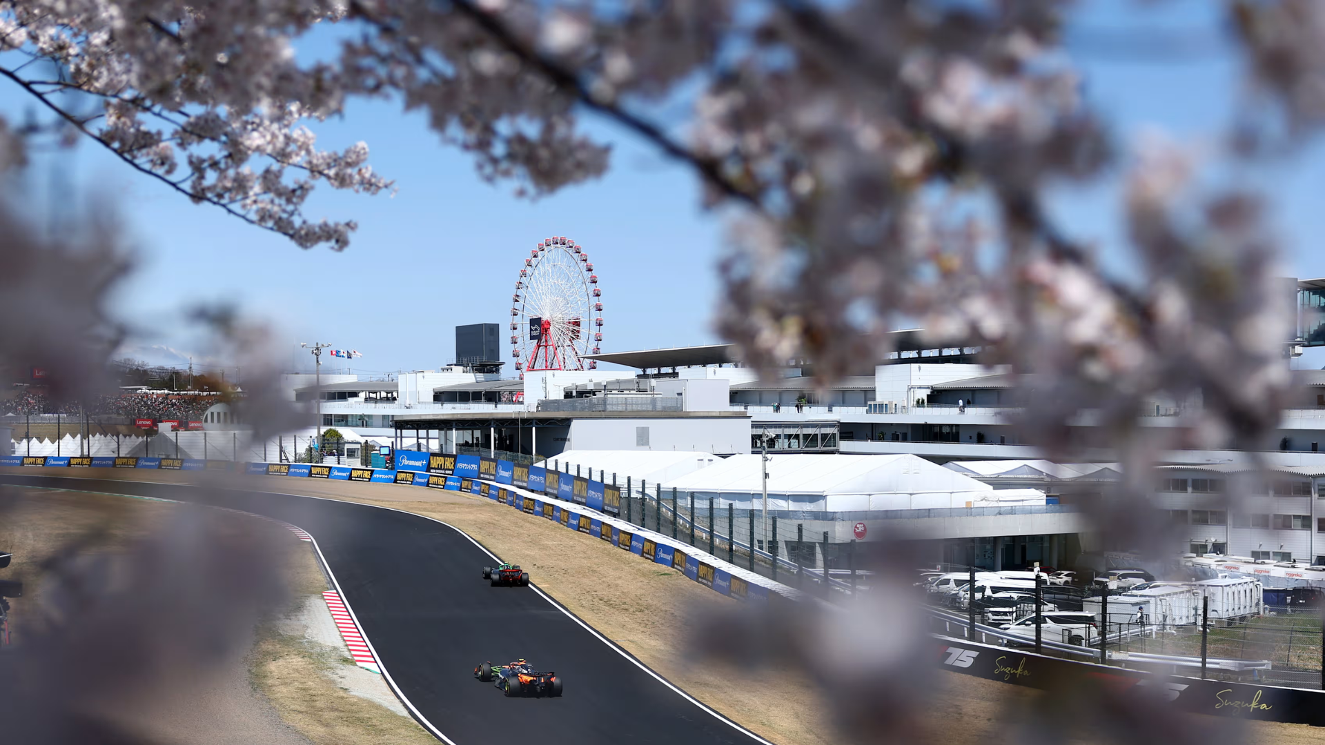 Two F1 cars racing on the track at the 2026 Japanese Grand Prix, framed by blooming cherry blossoms with the iconic Suzuka Ferris wheel in the background.
